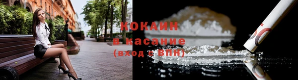 дмт Богородск