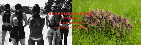 ПСИЛОЦИБИНОВЫЕ ГРИБЫ Бронницы