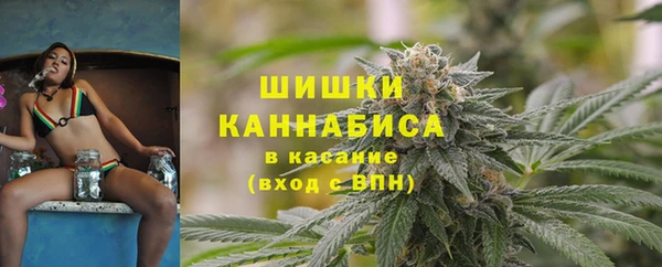 дмт Богородск