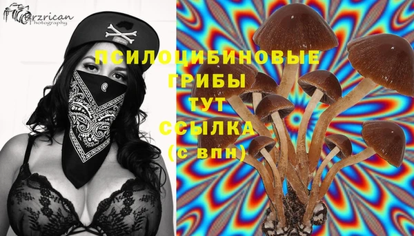 кристаллы Бородино